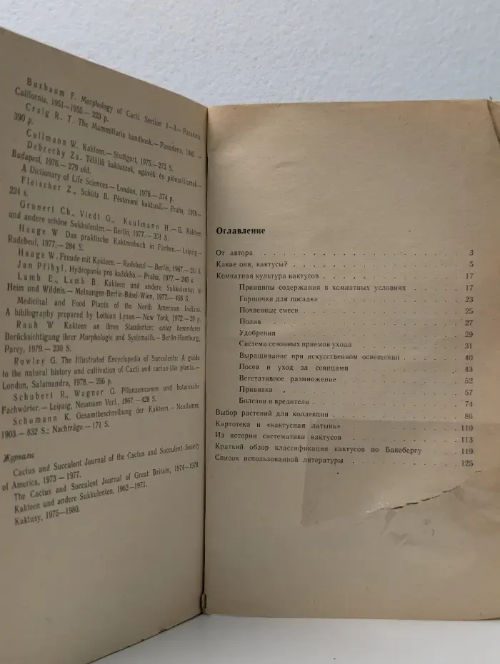 Ваши "зеленые ежики"