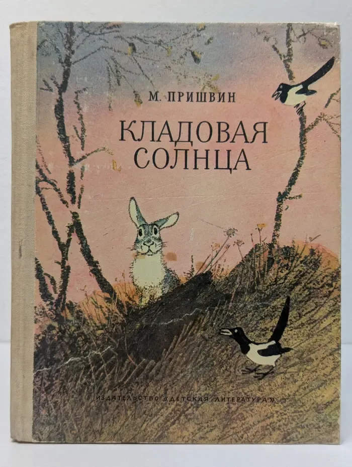 Школьная библиотека. Кладовая солнца