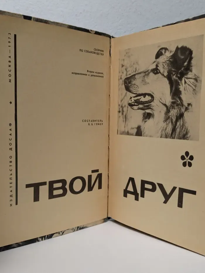 Твой друг