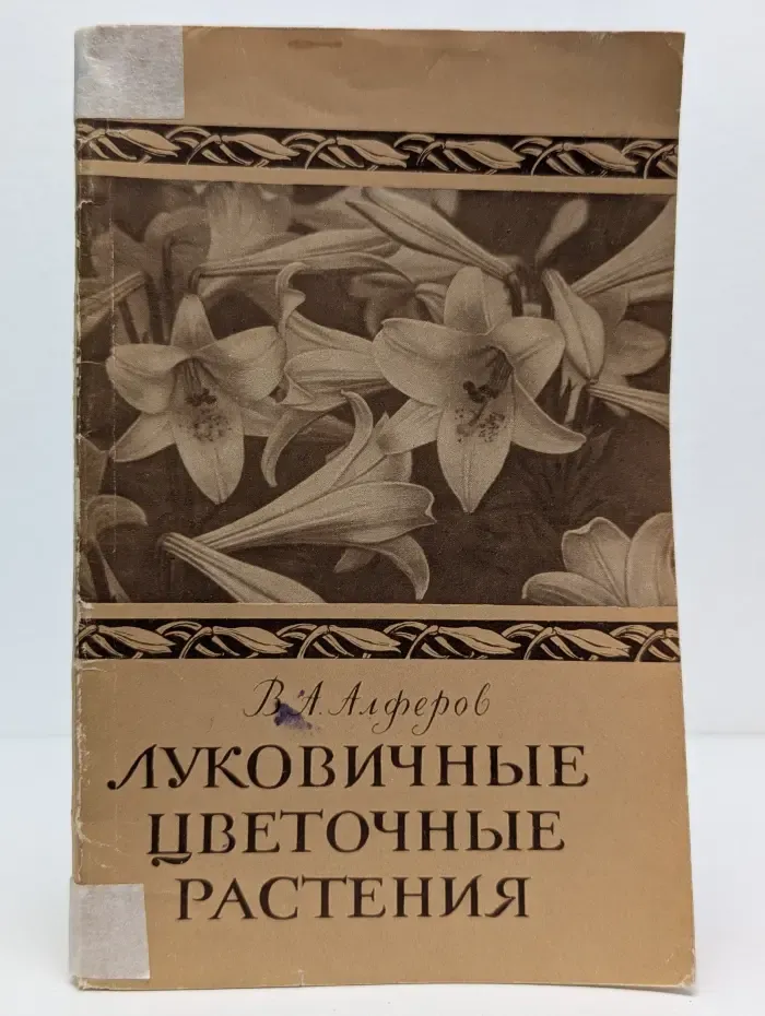 Луковичные цветочные растения